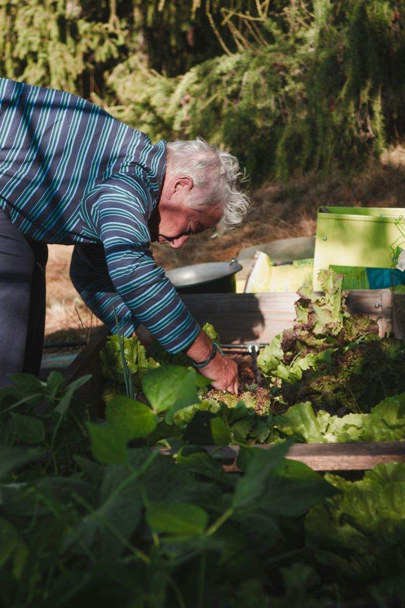 みどり庭園プランニング株式会社 8
