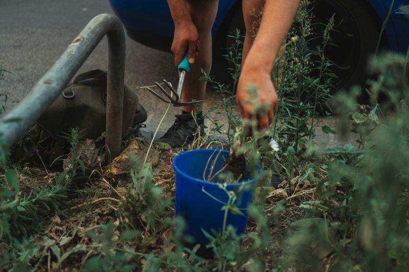 外構まわりの植栽デザイン